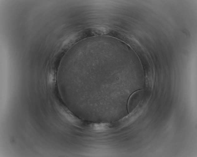 X0000113280134200909141233