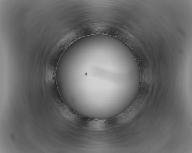 X0000113280138200909141233