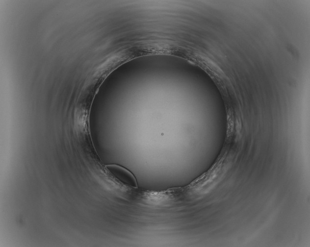 X0000113280141200909141233