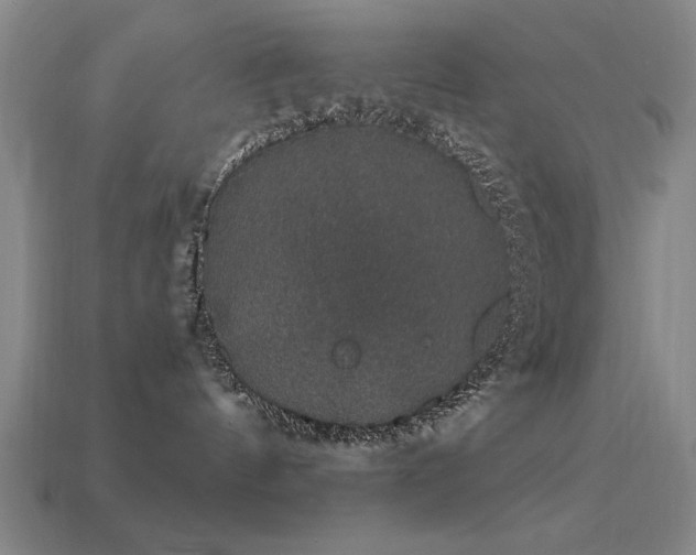 X0000113280144200909141233