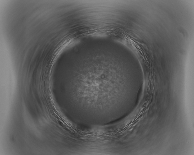 X0000113280145200909141232