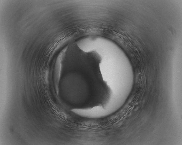 X0000113280146200909141232