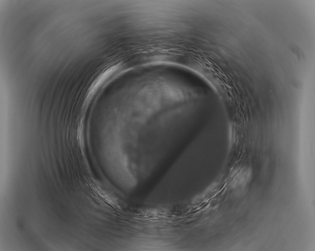 X0000113280147200909141232