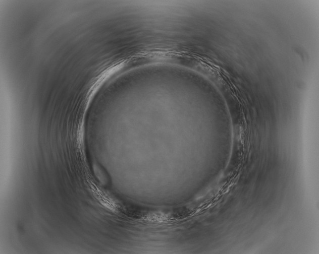 X0000113280148200909141232