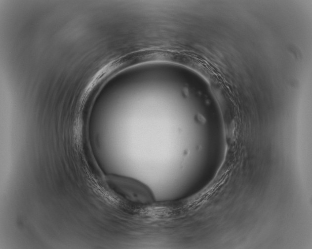 X0000113280150200909141232