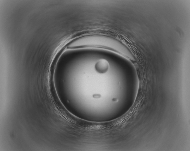 X0000113280152200909141232