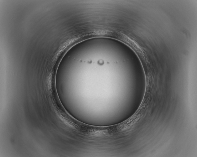 X0000113280155200909141232