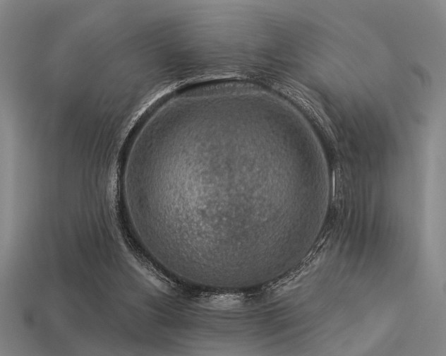 X0000113280156200909141232