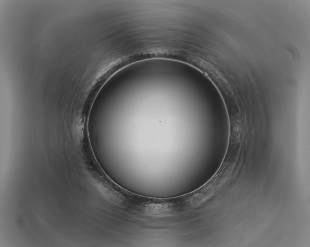 X0000113280160200909141233