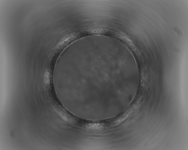 X0000113280161200909141233