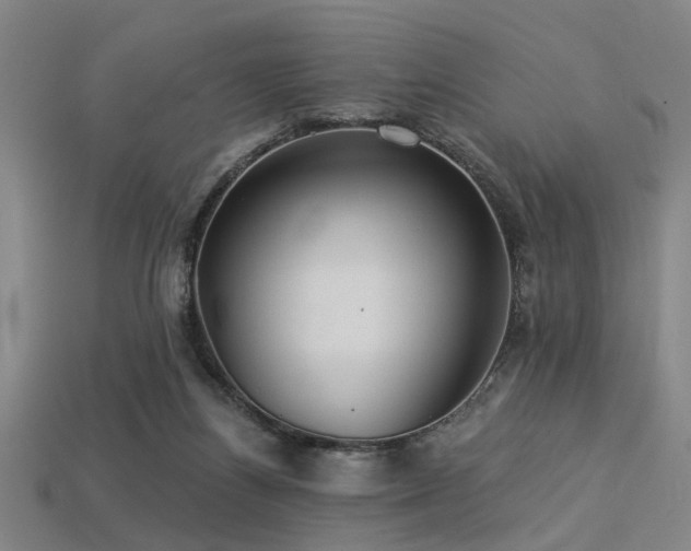 X0000113280164200909141233