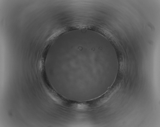 X0000113280165200909141233