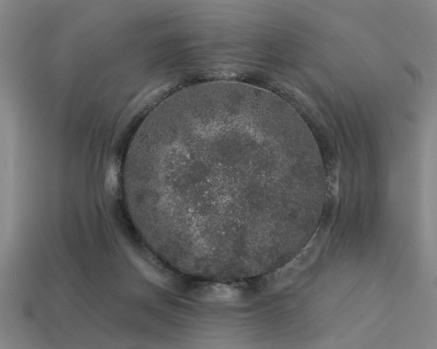 X0000113280166200909141233