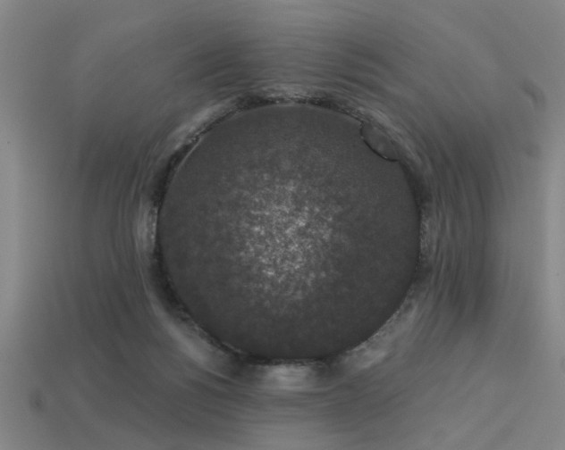 X0000113280168200909141233