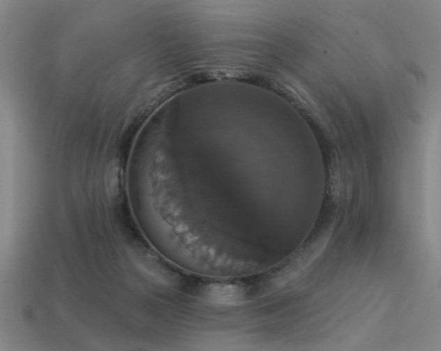 X0000113280169200909141233