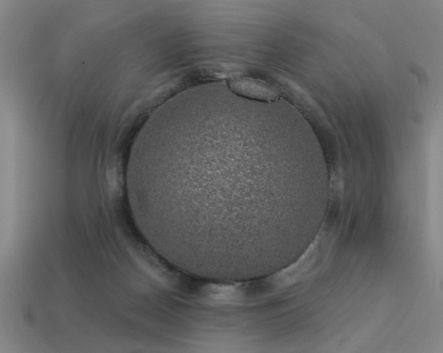 X0000113280170200909141233