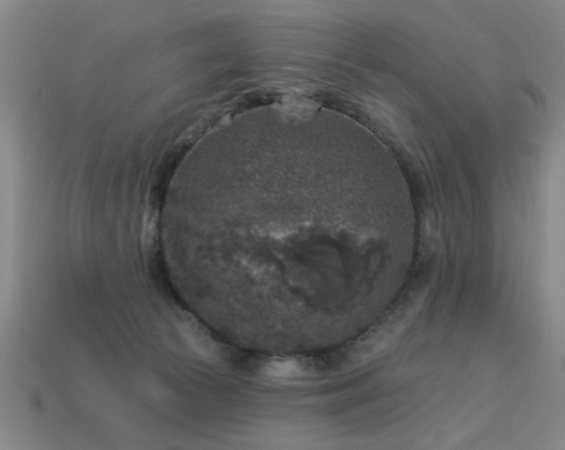 X0000113280177200909141233