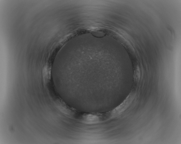 X0000113280180200909141233