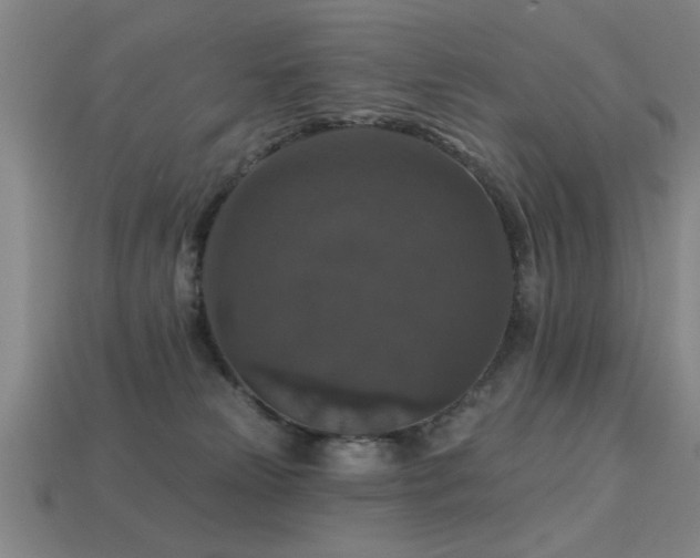 X0000113280181200909141233