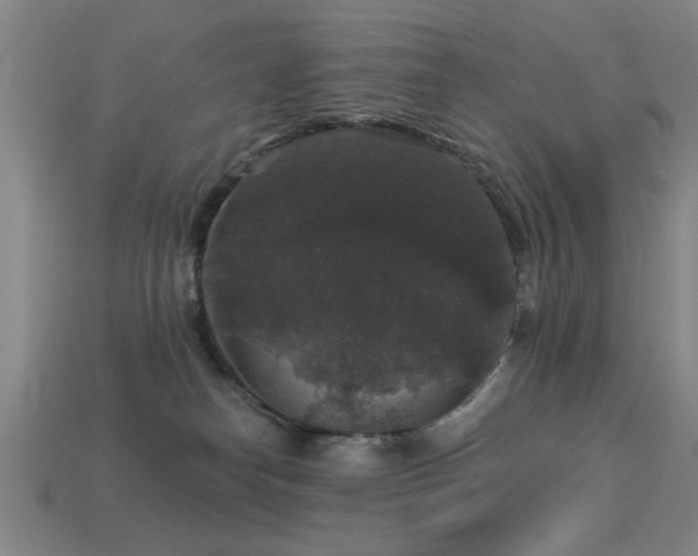 X0000113280182200909141233