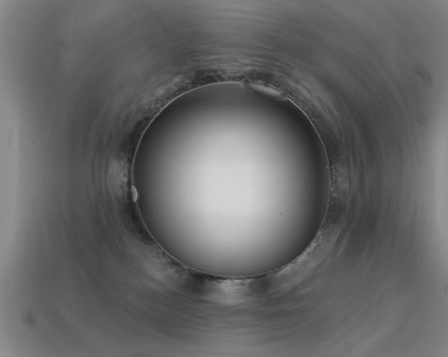 X0000113280184200909141233