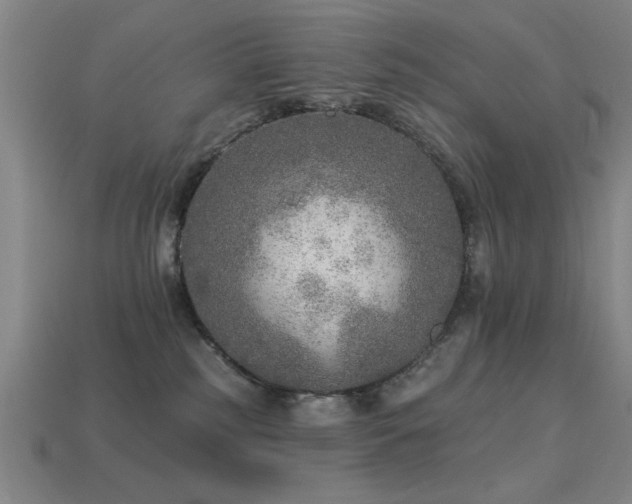 X0000113280185200909141233