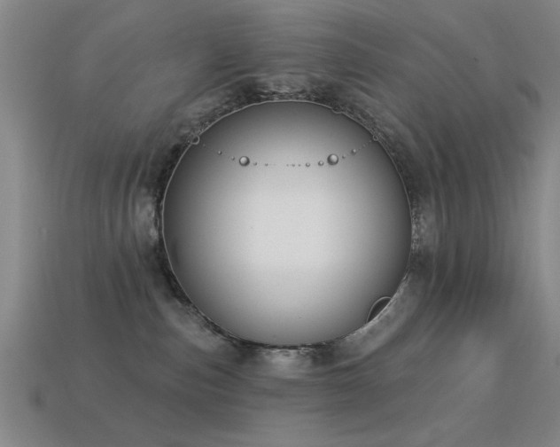 X0000113280187200909141233