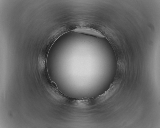 X0000113280188200909141233