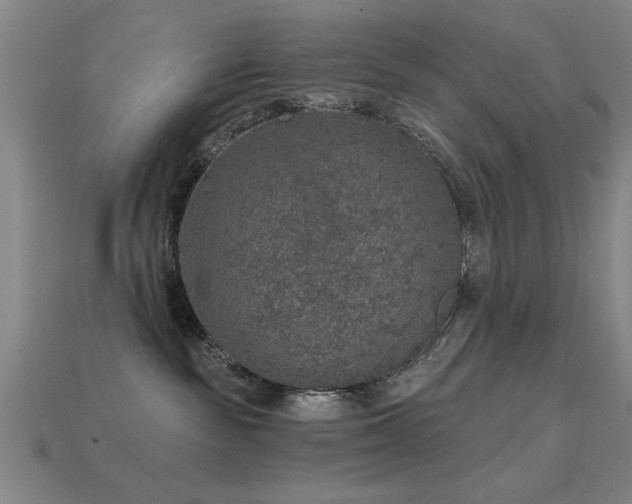 X0000113280189200909141233