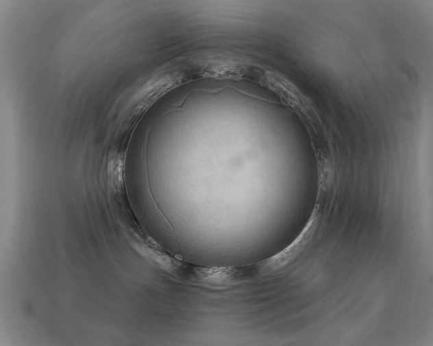 X0000113280191200909141233