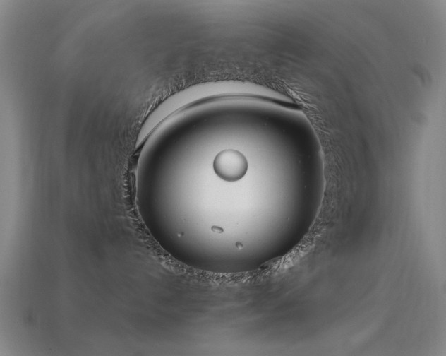 X0000113280192200909141233