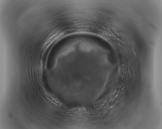 X0000113280194200909141232