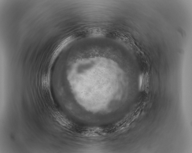 X0000113280195200909141232