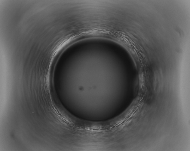 X0000113280196200909141232