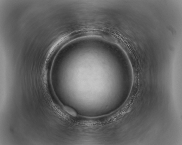 X0000113280197200909141232