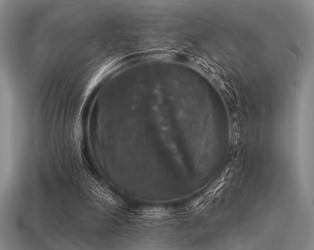 X0000113280198200909141232