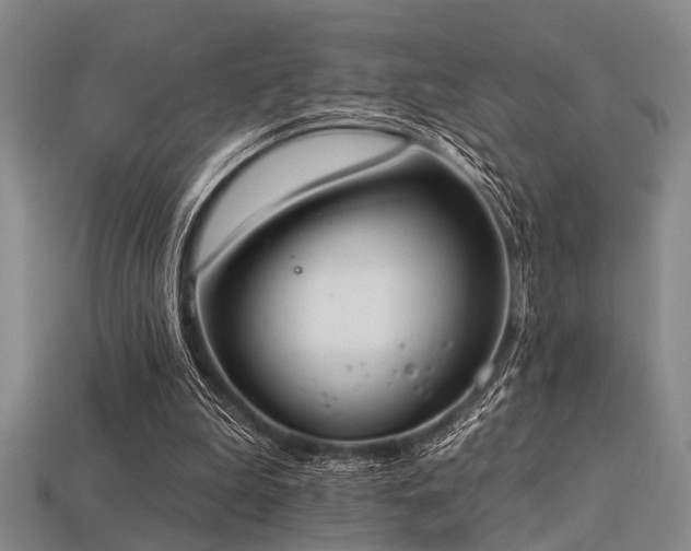 X0000113280199200909141232