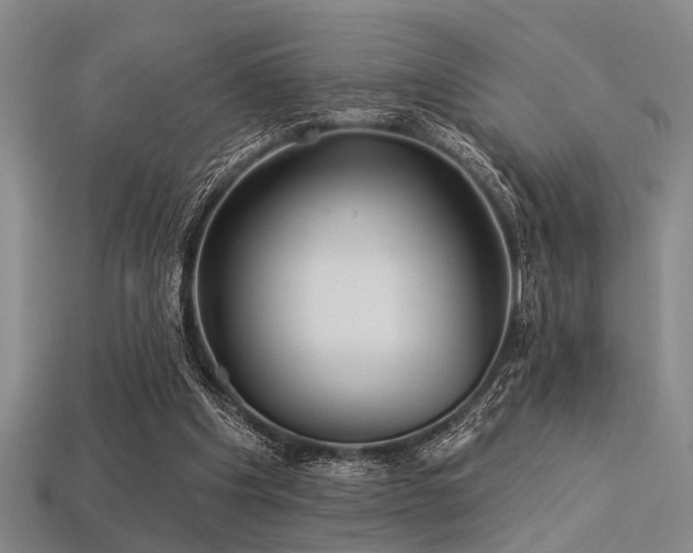 X0000113280201200909141232