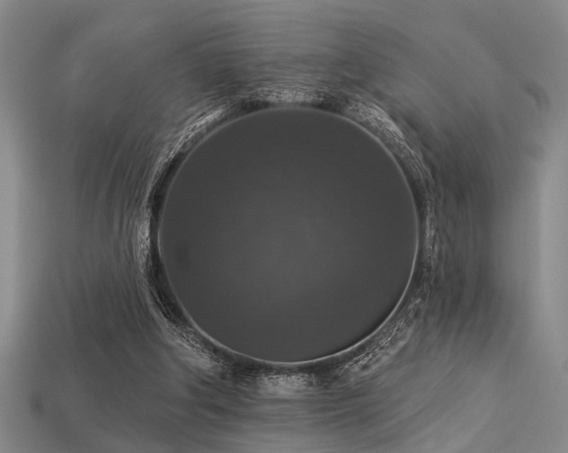 X0000113280202200909141232