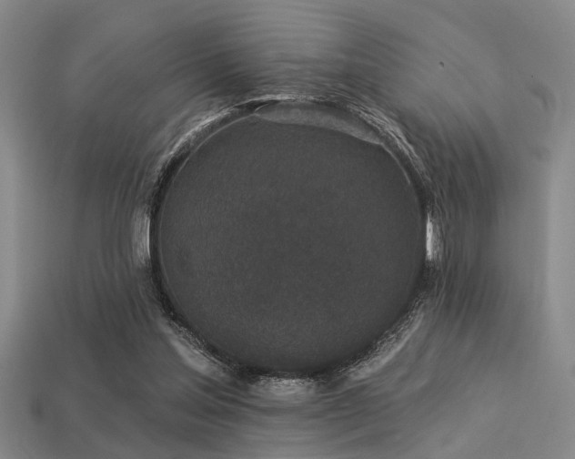 X0000113280205200909141232