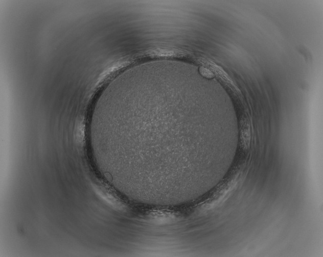 X0000113280207200909141232