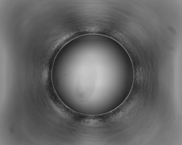 X0000113280208200909141232