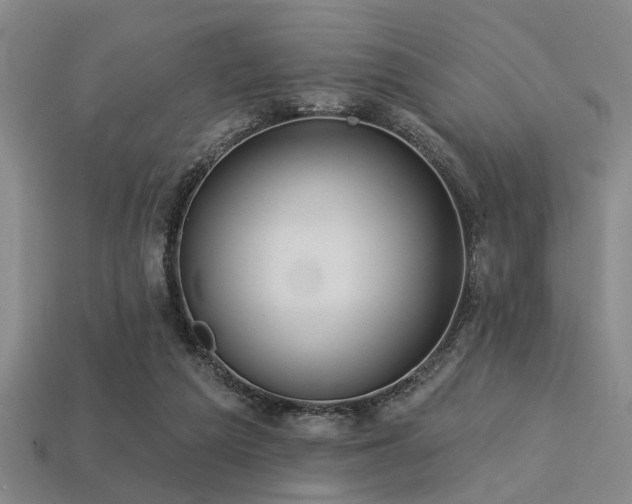 X0000113280209200909141232