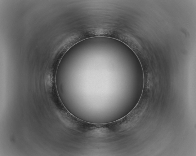 X0000113280210200909141232