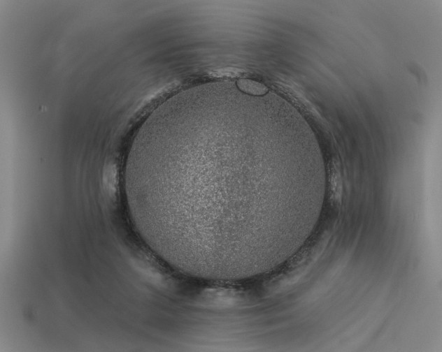 X0000113280211200909141232