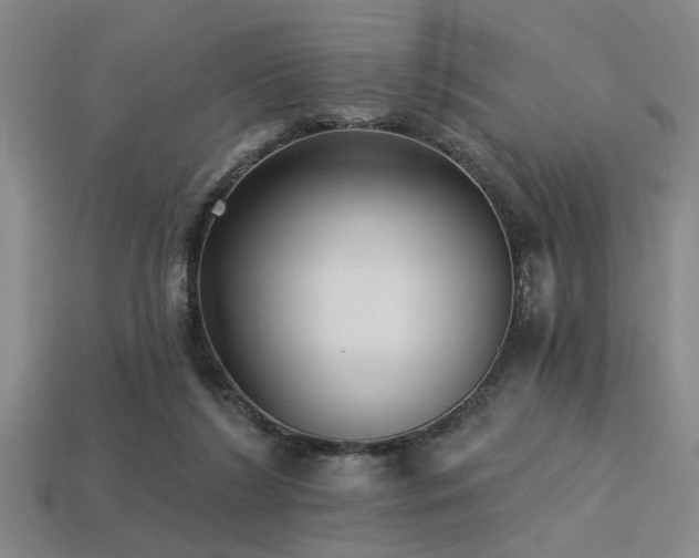 X0000113280212200909141232