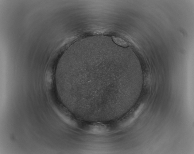 X0000113280215200909141232