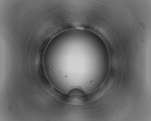 X0000113280221200909141232