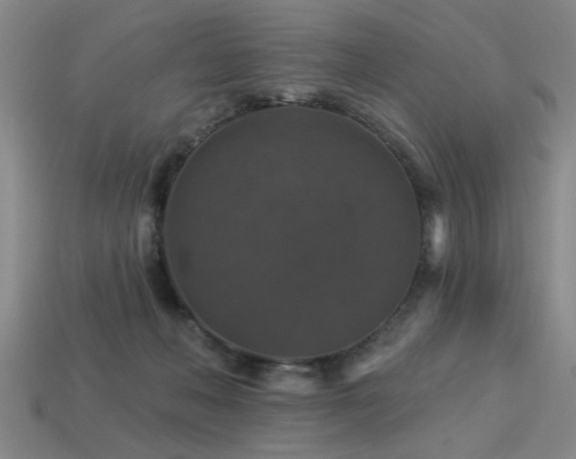 X0000113280222200909141232