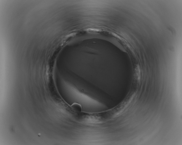 X0000113280223200909141232